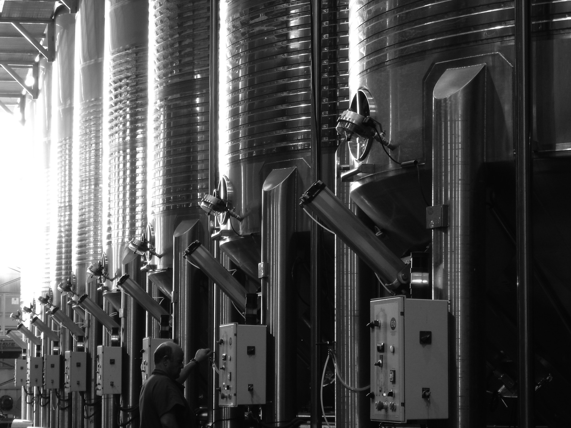 wine-jumilla-winery-1