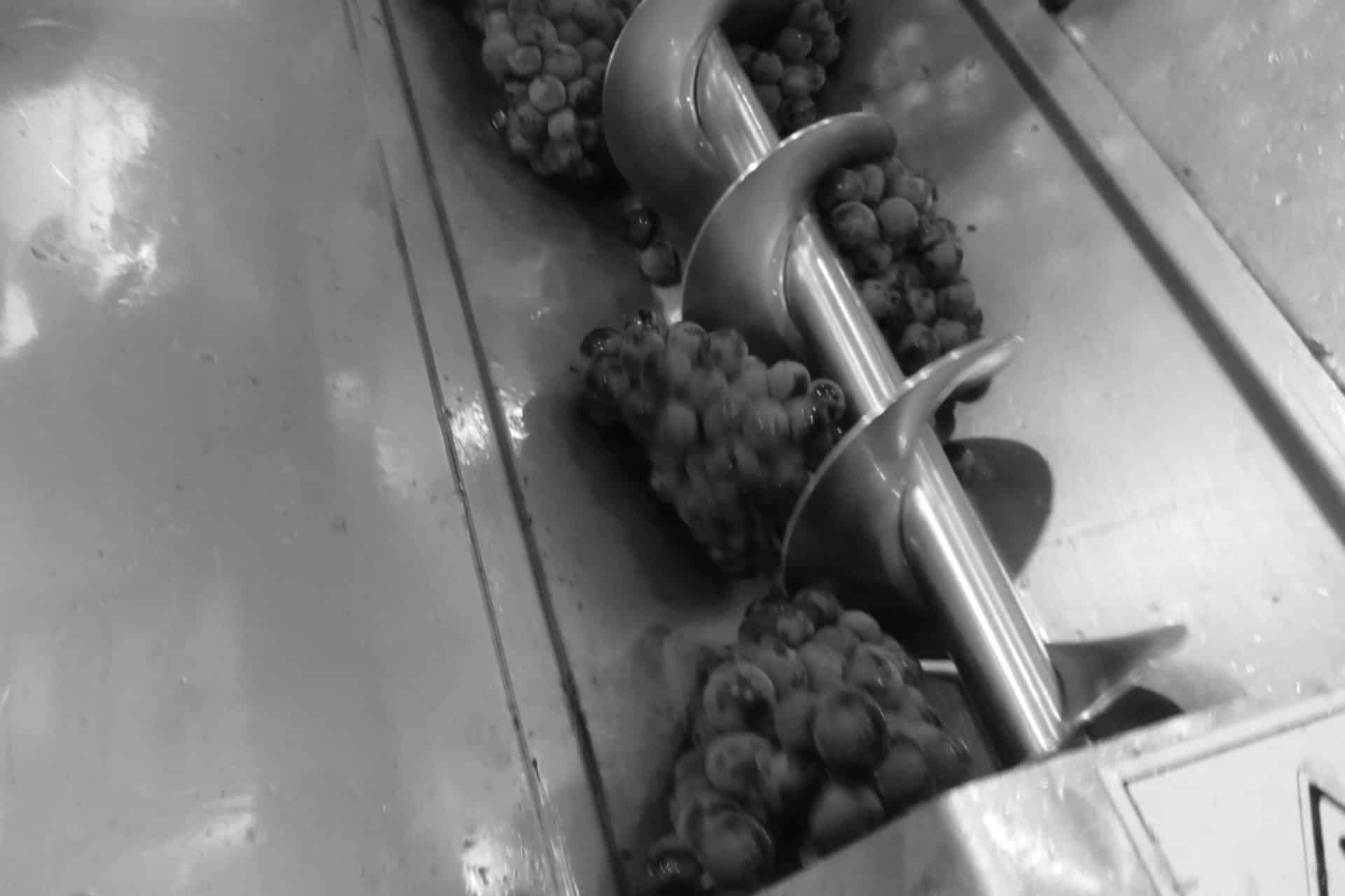 wine-jumilla-winery-red-wine