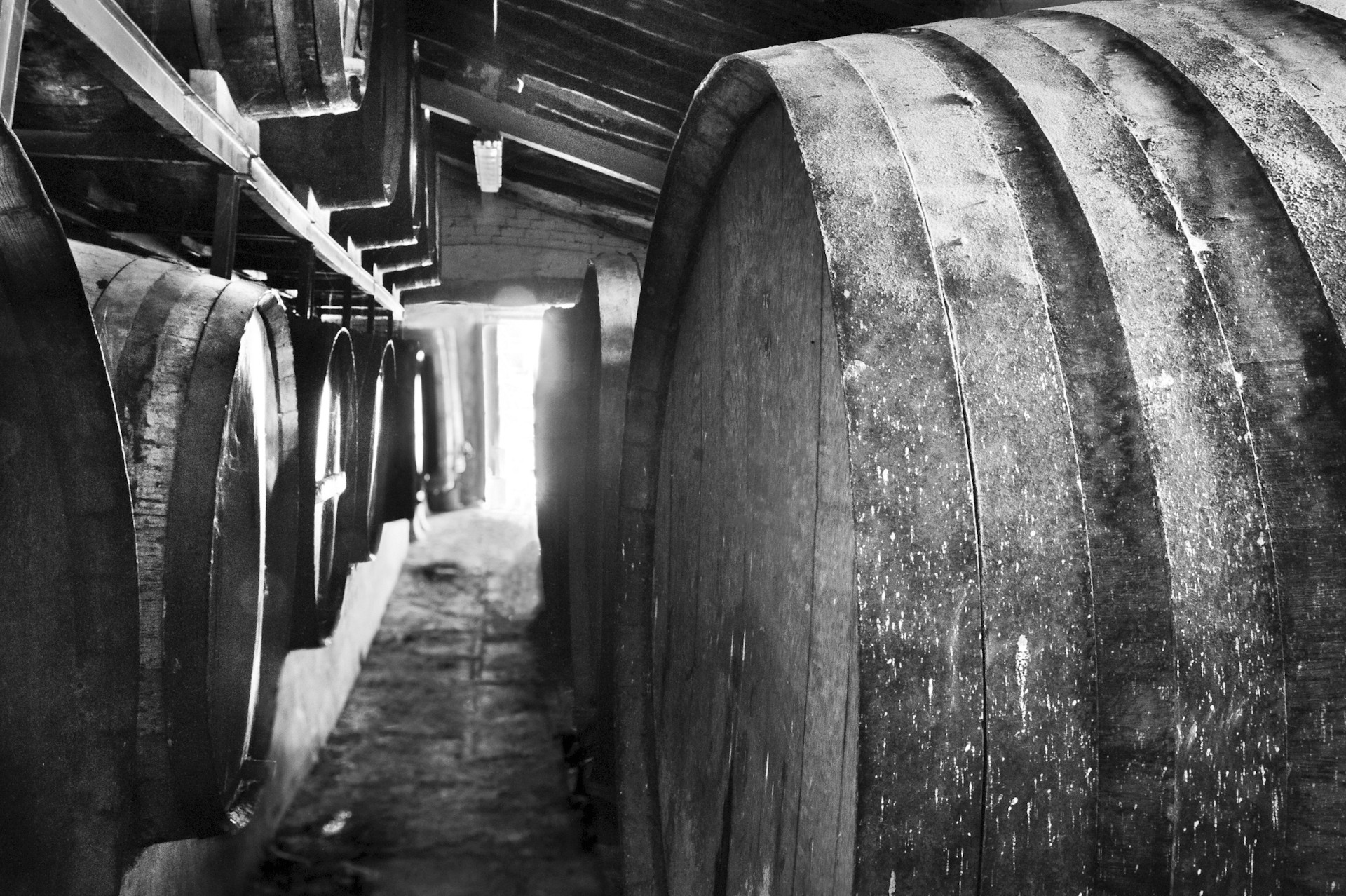 wine-jumilla-winery-3